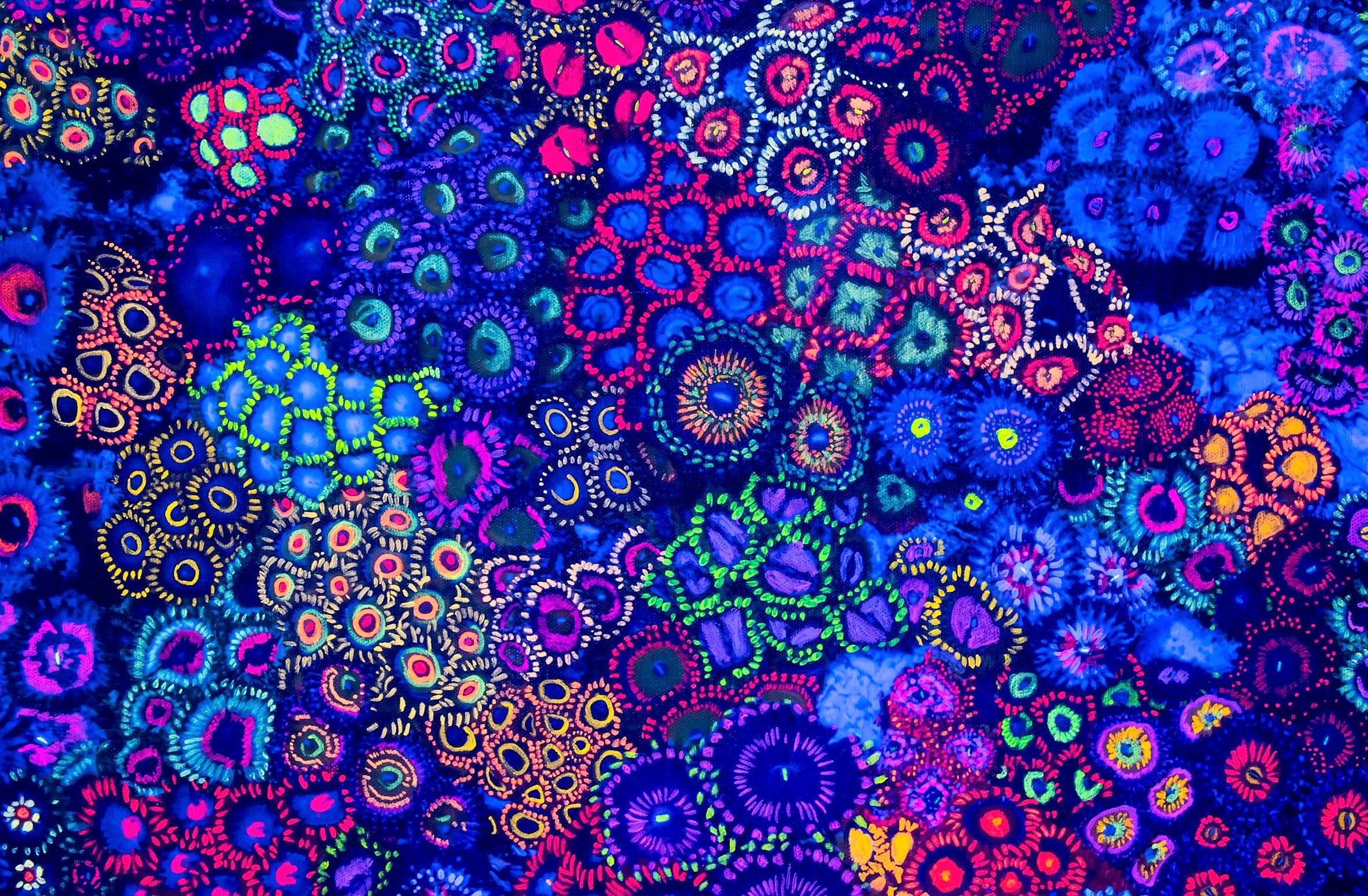 Zoa Garden - 21x33 Canvas UV | JoshPorksandwich Zoas