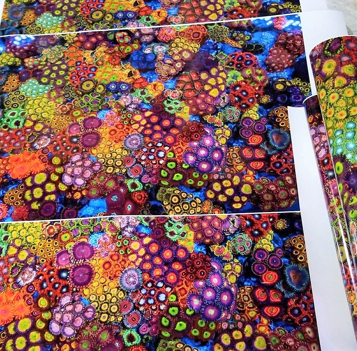 Zoa Garden #1 - 24x36 Poster | JoshPorksandwich Zoas